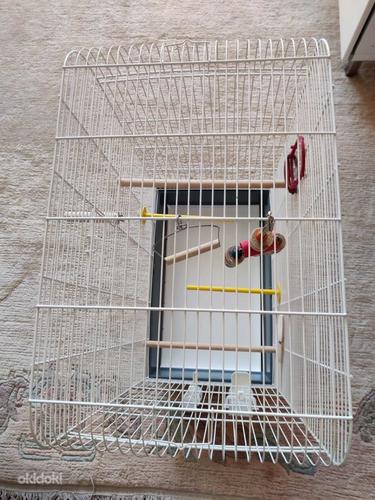 Linnupuur lisadega Клетка для попугая с игрушками (фото #3)
