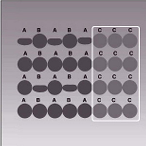 LOT! Apex Domus 2 Plus Täispuhutav madrats, 200x80x10,2cm (2 foto / 10)