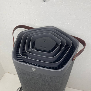 LOT! Electrolux õhupuhasti 129 m² PA91-604DG (4 foto / 10)