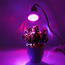 МНОГО! Светодиодный светильник для выращивания растений InnoGear E563, 20 Вт (фото #2)