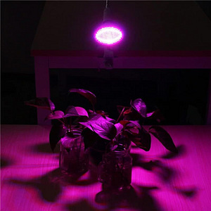 LOT! InnoGear E563 LED kasvuvalgusti, 20 W (6 foto / 9)