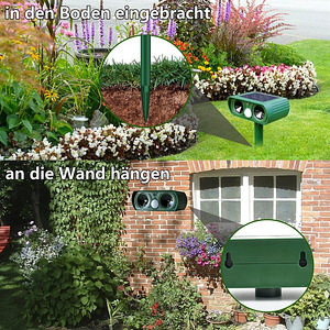 LOT! Chaohua ultraheli loomade peletaja QSQ001 (8 foto / 8)