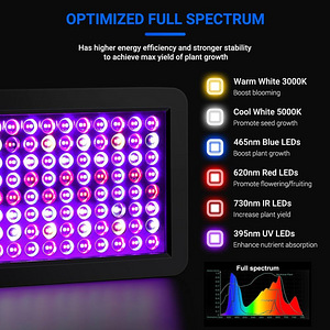 LOT! DragonLight BW1000 taimelamp LED (2 foto / 10)