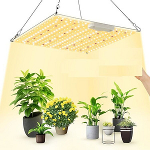 LOT! Vayalt 500 W taimelamp LED taimevalgusti (1 foto / 4)