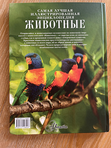 Книги (2 фото из 7)