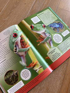 Книги (3 фото из 7)