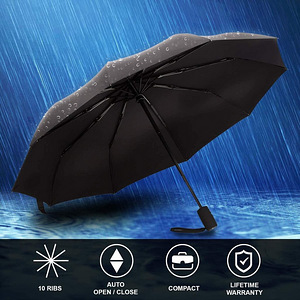 Automaatne vihmavari (5 foto / 9)