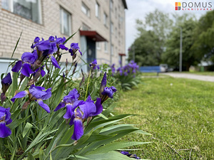Narva mnt 17, Olgina, Narva-Jõesuu linn, Ida-Virumaa (1 foto / 10)