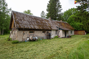 Tamme, Aaviku, Saaremaa vald, Saaremaa (3 foto / 10)