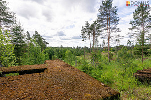 Tartu maakond, Elva vald, Vellavere küla (5 foto / 8)