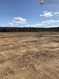 Lääne-Viru maakond, Vinni vald, Männikvälja küla (4 foto / 6)