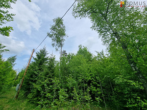 Kaseoksa tee, Ääsmäe, Saue vald, Harjumaa (2 foto / 9)