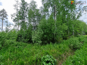 Kaseoksa tee, Ääsmäe, Saue vald, Harjumaa (3 foto / 9)