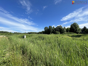 Härma tn 6, Soinaste, Kambja vald, Tartumaa (4 foto / 7)