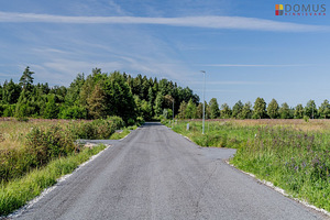 Pärnu maakond, Pärnu linn, Seljametsa küla, Päikese 1/3 (10 foto / 10)