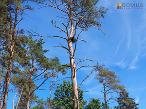 Harju maakond, Raasiku vald, Aruküla alevik, Siisikese 3 (8 foto / 10)