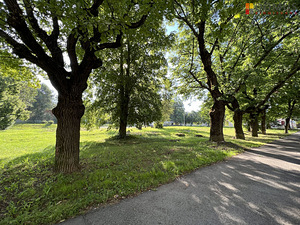 Lavretsovi tn 7a, Vanalinna, Narva, Ida-Virumaa (5 foto / 7)