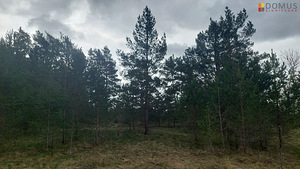 Kokakivi, Suurküla, Lääne-Harju vald, Harjumaa (4 foto / 5)