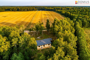 Harju maakond, Raasiku vald, Raasiku alevik, Kasejaagu (1 foto / 10)