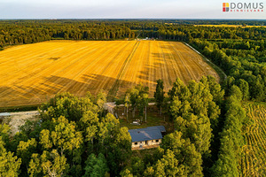 Kasejaagu, Sambu, Jõelähtme vald, Harjumaa (2 foto / 10)