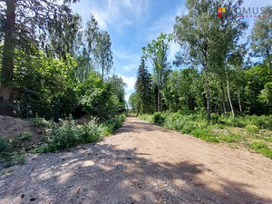 Harju maakond, Raasiku vald, Aruküla alevik, Siisikese 3 (8 foto / 10)