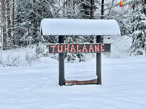 Korbimäe, Tuhalaane, Mulgi vald, Viljandimaa (6 foto / 10)