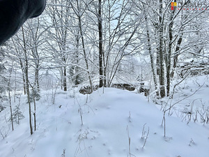 Korbimäe, Tuhalaane, Mulgi vald, Viljandimaa (9 foto / 10)