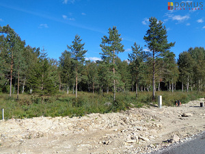 Suve tee 34, Aila, Saue vald, Harjumaa (3 foto / 10)