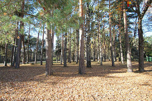 Niidupargi tn 6, Rääma, Pärnu, Pärnumaa (9 foto / 9)