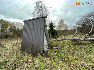 Saare, Kiisa, Viljandi vald, Viljandimaa (6 foto / 10)