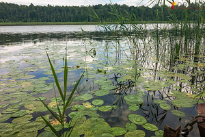 Tartu maakond, Nõo vald, Kolga küla (2 foto / 6)