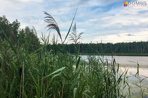 Tartu maakond, Nõo vald, Kolga küla (4 foto / 6)