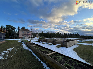 Konno tee, Perjatsi, Narva-Jõesuu linn, Ida-Virumaa (6 foto / 10)