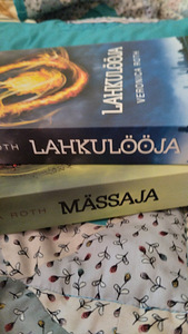 Veronica Roth Lahkulööja ja Mässaja. (6 foto / 10)