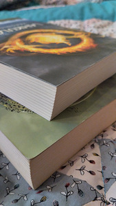 Veronica Roth Lahkulööja ja Mässaja. (7 foto / 10)