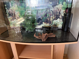 Akvaarium Akvaarium 200L (2 foto / 5)