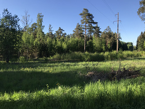 Müüa suur maatükk. Elamumaa - 2,34 ha Rumm (3 foto / 5)