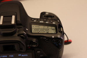 Canon 80d (Ekraanil kaitseklaas, Kaelarihm kiirkinnitustega) (6 foto / 8)