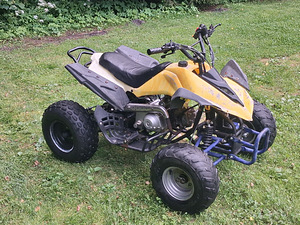 Детский ATV 125cc (1 фото из 8)