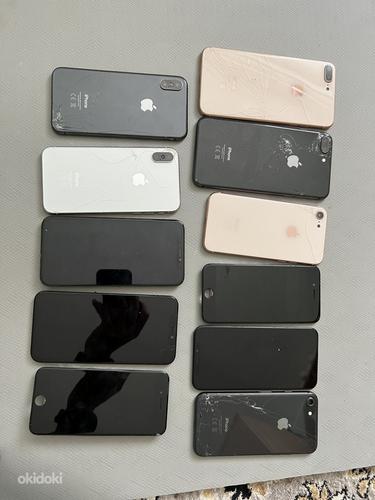 iPhone ekraanid ja tagused (foto #1)