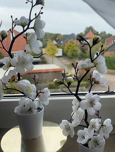 3 valgete õitega kunstlille. Komplektina Kõrgus 32cm (7 foto / 8)