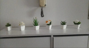 6 pisikest kunsttaime koos potiga. Komplektina. (4 foto / 6)