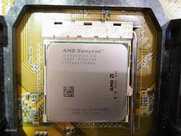 Asus M2N-MX + AMD Sempron 3000+ (фото #3)