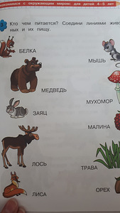 Развивающая книжка (2 фото из 3)