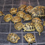 Леопардовая черепаха Stigmochelys pardalis (фото #2)