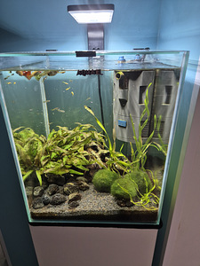 AQUAEL SHRIMP Set 30 (4 foto / 4)