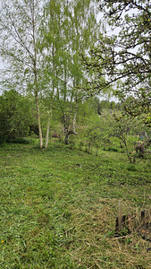 Üürile anda 800 m² suurune krunt Maardus (5 foto / 11)