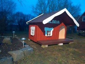 Koerakuut suurele koerale (2 foto / 4)