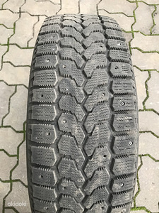 Rehvid Ice Guard, 185/65R15 (1 foto / 3)
