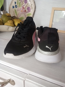 Puma tossud (1 foto / 3)